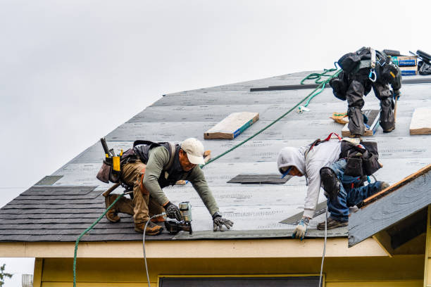 Professional Emergency Roof Repair technician working in Kendall, NY